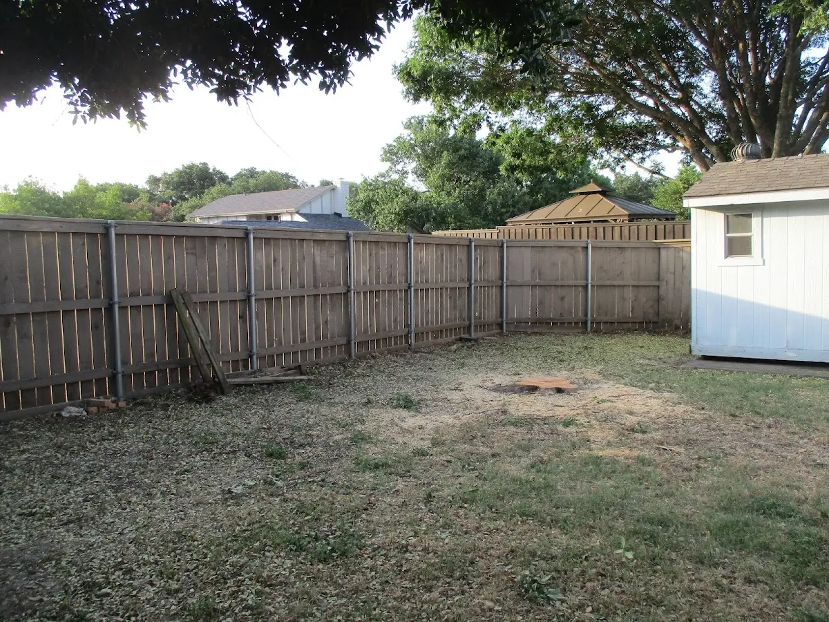 Cleared yard after professional tree removal in Lemmon