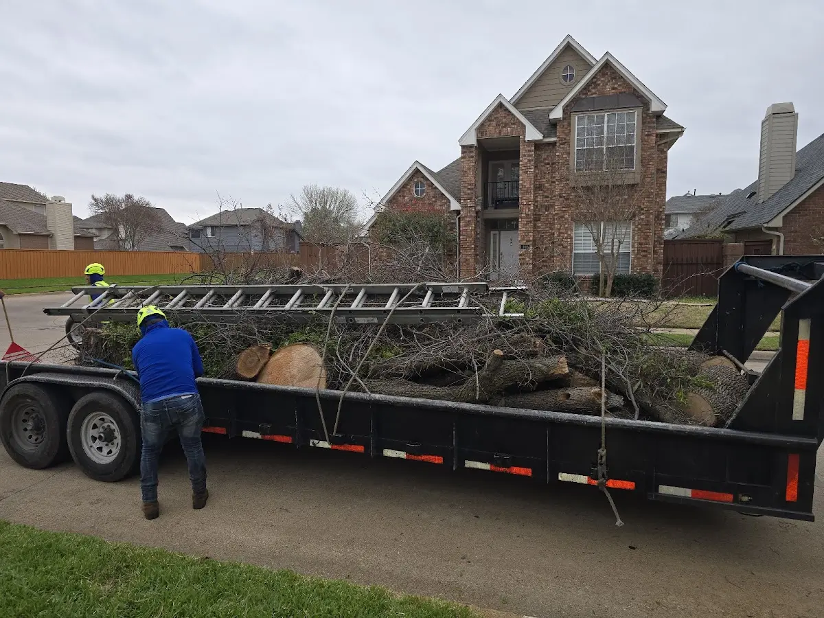 Expert Lot Clearing with proper safety equipment in Lemmon